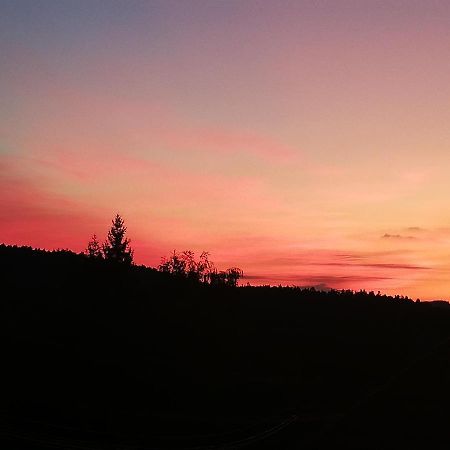 Ferienwohungen Im Kuchersbach Hornberg Exterior foto