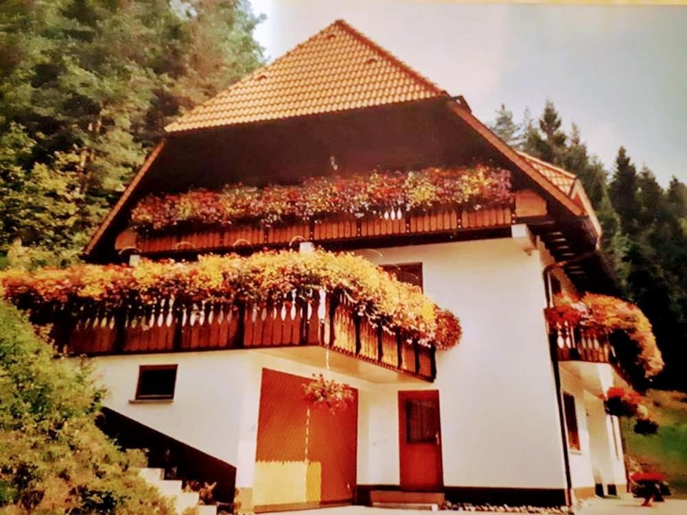 Ferienwohungen Im Kuchersbach Hornberg Exterior foto