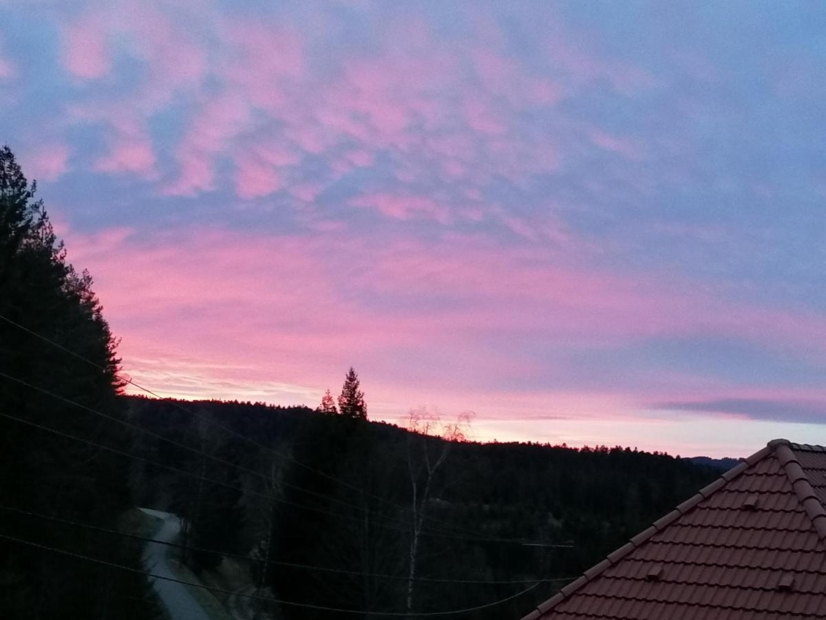 Ferienwohungen Im Kuchersbach Hornberg Exterior foto