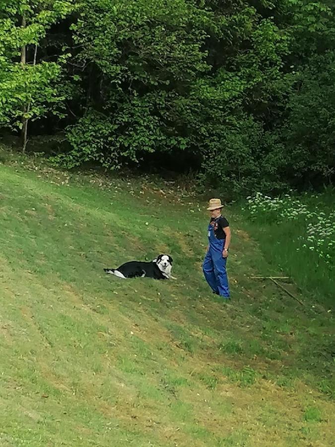 Ferienwohungen Im Kuchersbach Hornberg Exterior foto