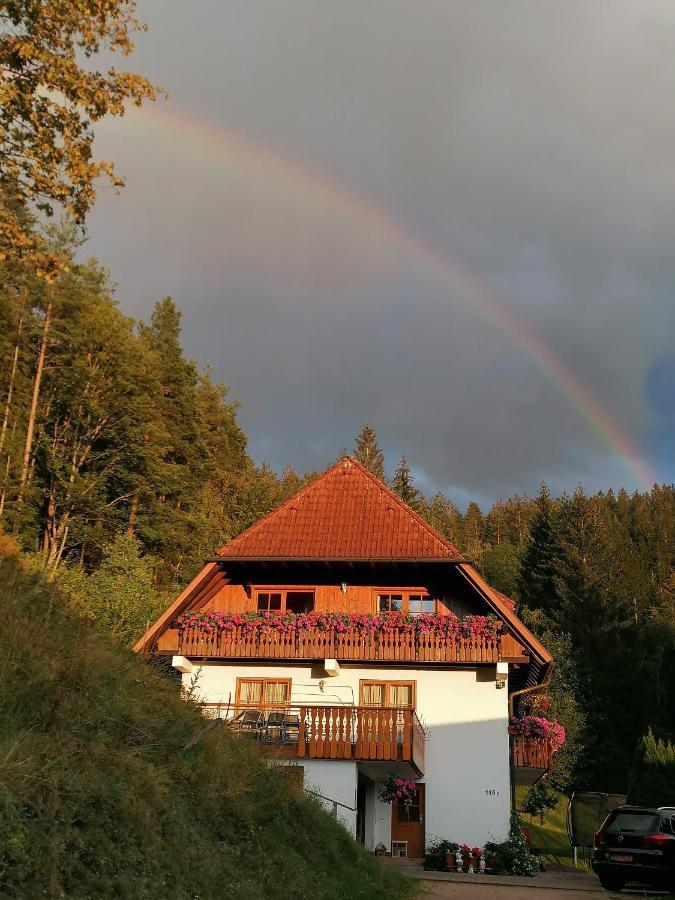 Ferienwohungen Im Kuchersbach Hornberg Exterior foto